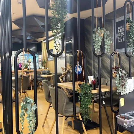 Nani Self Check-in 2* Zurigo